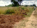 land-for-sale-in-katuba-small-2