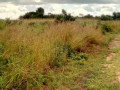 land-for-sale-in-katuba-small-4