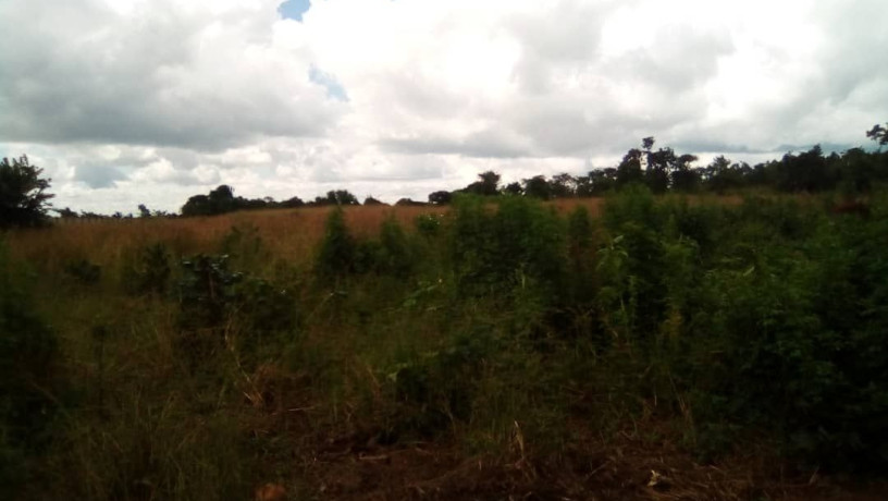 land-for-sale-in-katuba-big-1