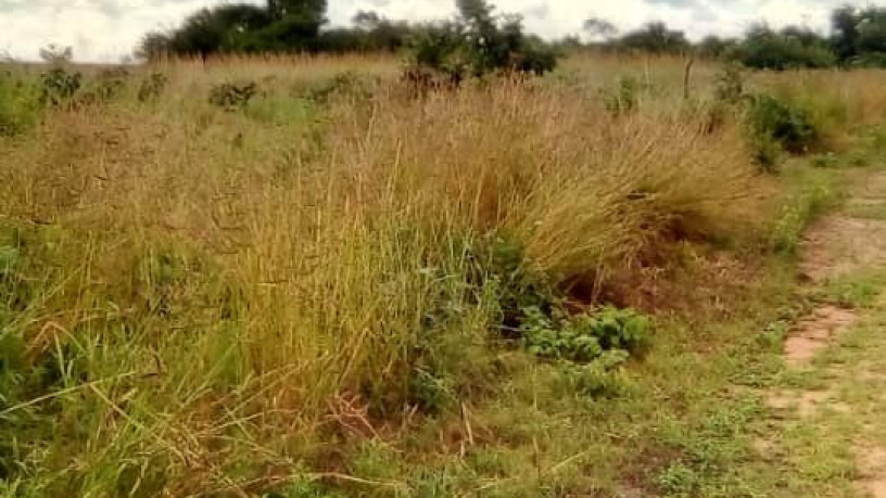 land-for-sale-in-katuba-big-4