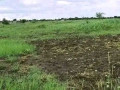 10-acres-land-for-sale-in-chisamba-small-1