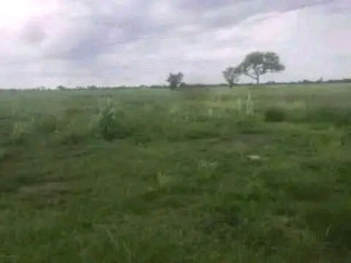 10 Acres Land for Sale in Chisamba