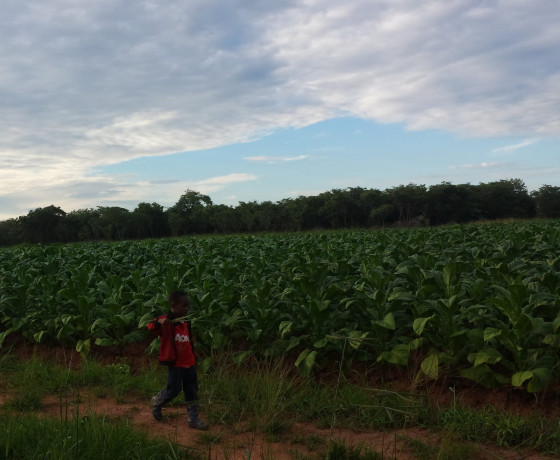 landplots-for-sale-in-kamaila-area-big-2
