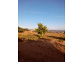 affordable-plots-in-lusaka-west-small-0