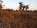 titled-plots-for-sale-in-chilanga-small-4