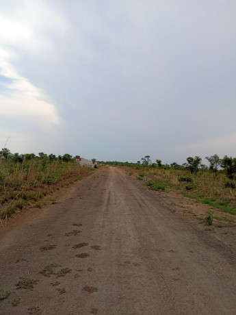ngwerere-titled-plots-for-sale-big-0