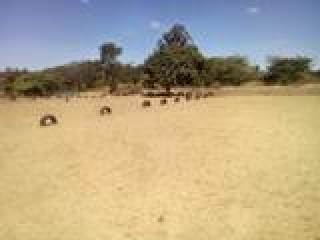 Prime Land in Chainama Hills - Ideal for Development