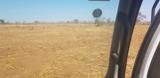 102-hectares-of-farming-land-in-chifungwa-area-big-0