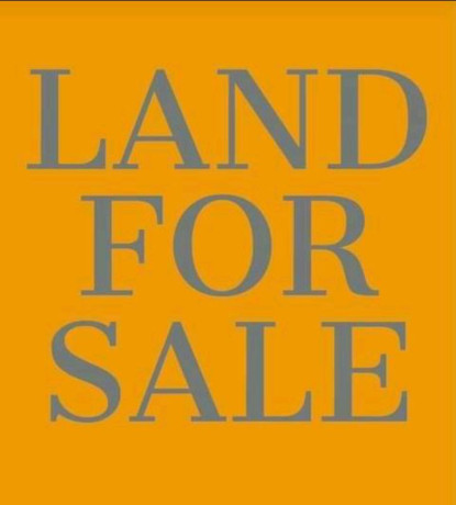 land-for-sale-in-makeni-big-0