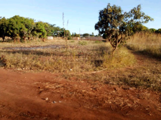 one-hector-land-for-sale-in-lilayi