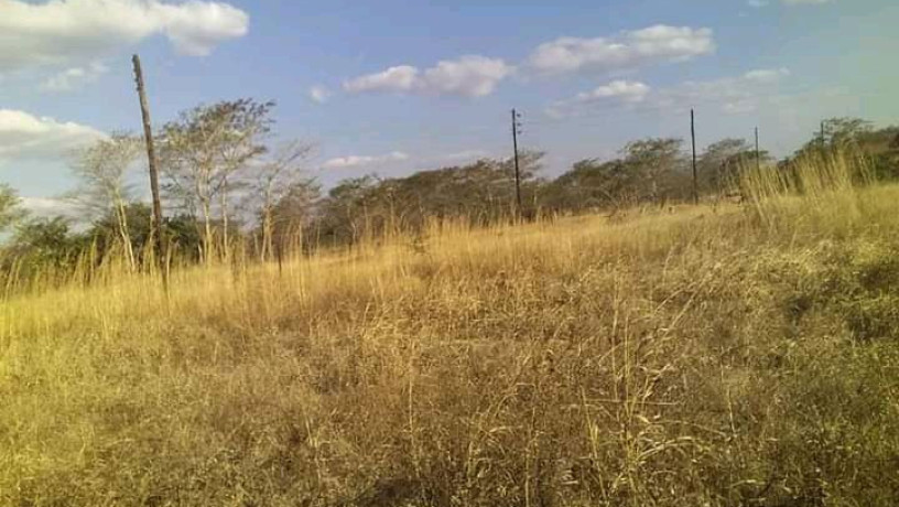 ten-acre-farm-in-mwembeshi-with-borehole-big-1