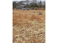 ten-acre-farm-in-mwembeshi-with-borehole-small-5