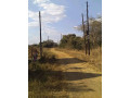 ten-acre-farm-in-mwembeshi-with-borehole-small-3