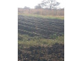 ten-acre-farm-in-mwembeshi-with-borehole-small-0