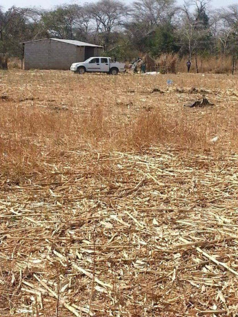 ten-acre-farm-in-mwembeshi-with-borehole-big-5