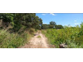 plot-for-sale-in-ibex-hill-small-3