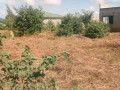 3018m-plot-for-sale-in-chalala-near-g-greens-small-1