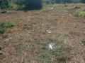 3018m-plot-for-sale-in-chalala-near-g-greens-small-2