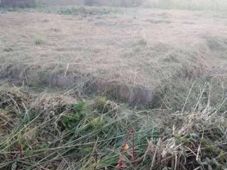 30/40 Plot for Sale in Kafue East