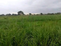 21-hectares-farm-for-sale-in-lusaka-west-small-1