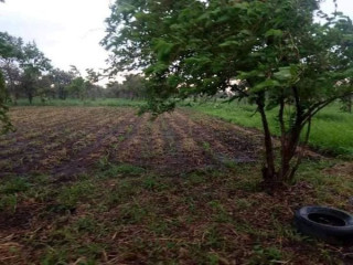 21 Hectares Farm for Sale in Lusaka West