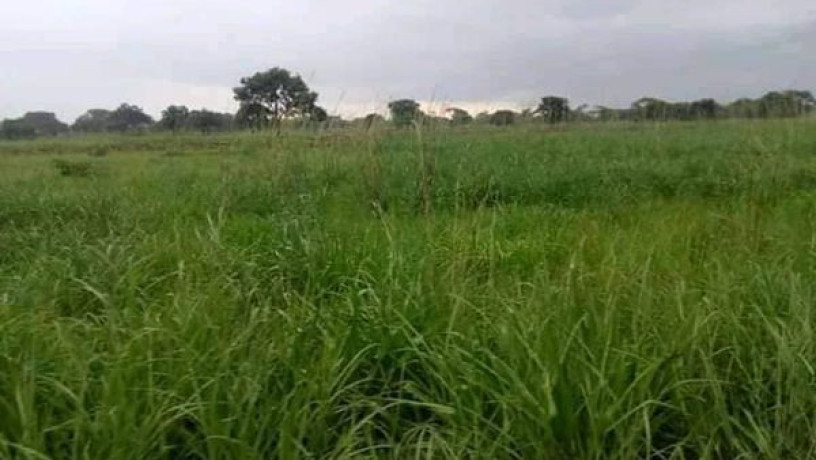 21-hectares-farm-for-sale-in-lusaka-west-big-1