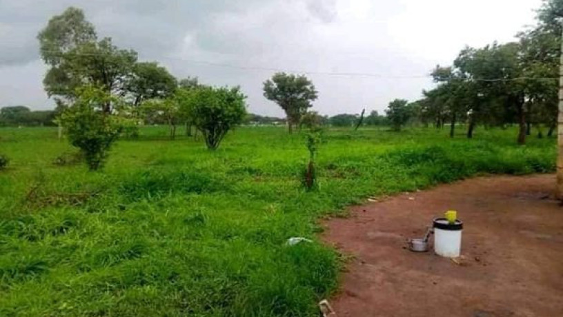 21-hectares-farm-for-sale-in-lusaka-west-big-2