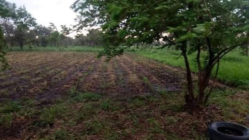 21-hectares-farm-for-sale-in-lusaka-west-big-0