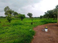 21-hectares-farm-for-sale-in-lusaka-west-small-2