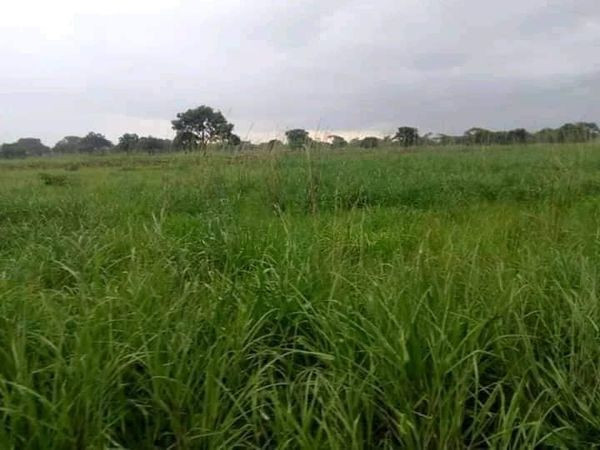 21-hectares-farm-for-sale-in-lusaka-west-big-1