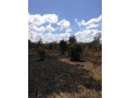 two-commercial-plots-for-sale-small-2
