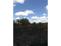 two-commercial-plots-for-sale-small-0
