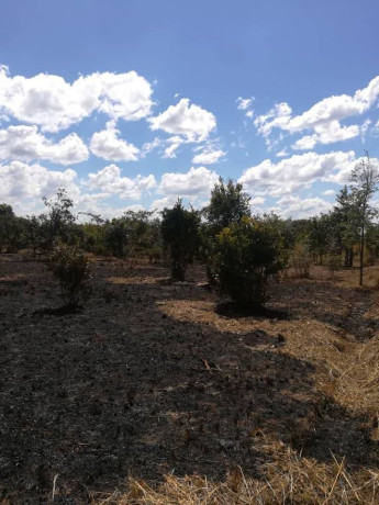 two-commercial-plots-for-sale-big-2
