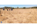 plots-on-title-for-sale-small-0