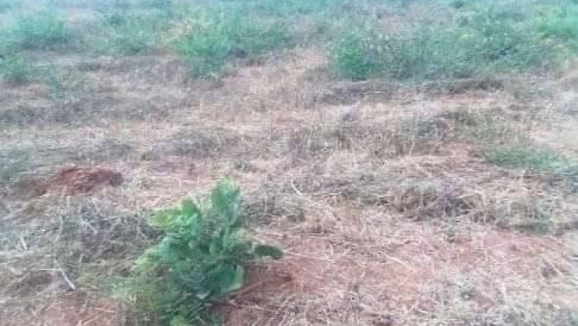 50-acres-land-for-sale-in-makeni-big-0