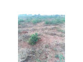 50-acres-land-for-sale-in-makeni-small-0