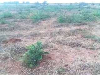 50-acres-land-for-sale-in-makeni