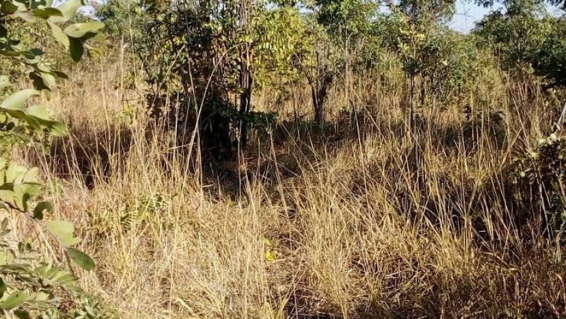 prime-land-for-sale-near-katende-turn-off-chongwe-big-1