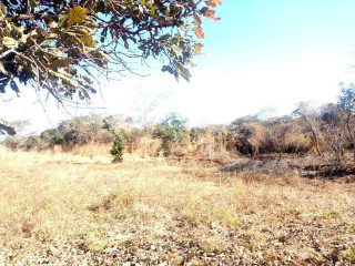 Residential Plot for Sale in Chilanga