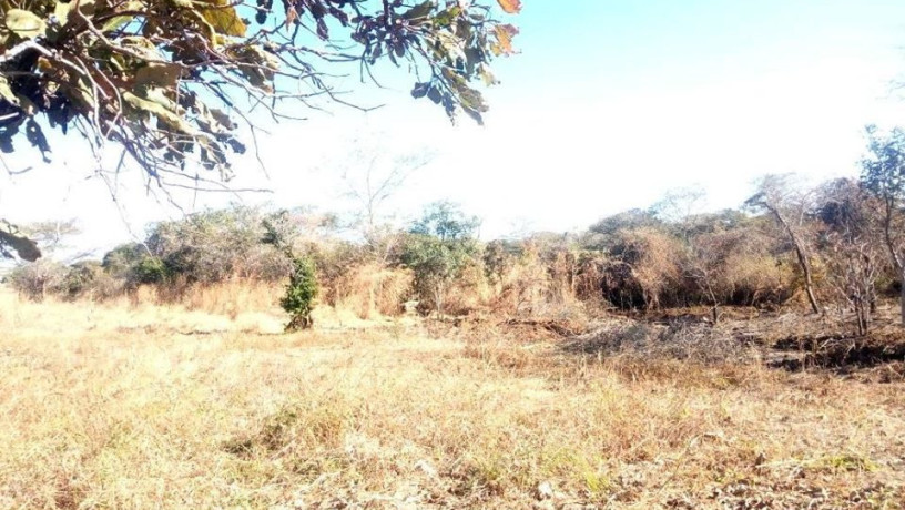 residential-plot-for-sale-in-chilanga-big-0