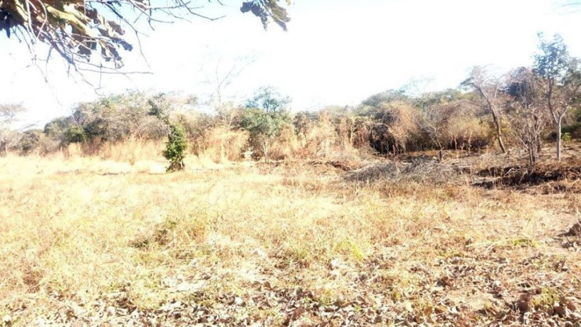 residential-plot-for-sale-in-chilanga-big-1