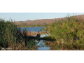 residential-plots-for-sale-small-0