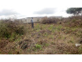 spacious-property-with-negotiable-price-small-0