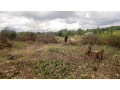 spacious-property-with-negotiable-price-small-1