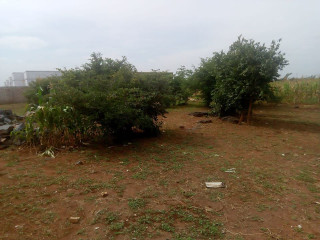 meanwood-ndeke-plot-for-sale