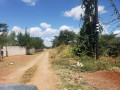 plot-for-sale-in-makeni-majoru-area-small-1