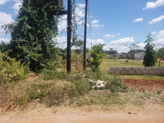 Plot For Sale in Makeni (Majoru Area)