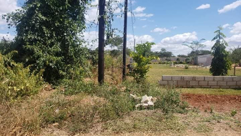 plot-for-sale-in-makeni-majoru-area-big-0