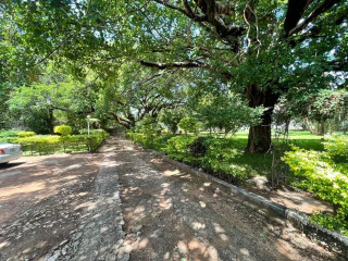 prime-land-for-sale-in-roma