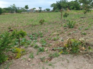 great-north-rd-land-for-sale